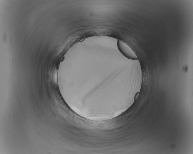 X0000111240046200907231539