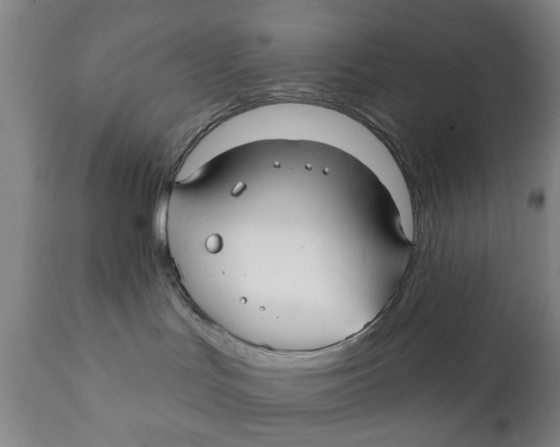 X0000111240047200907231539