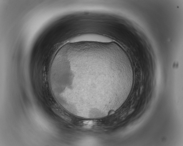 X0000111240050200907231539