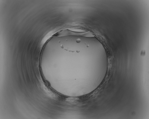 X0000111240051200907231539