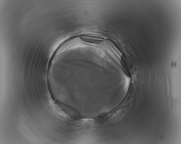 X0000111240052200907231539