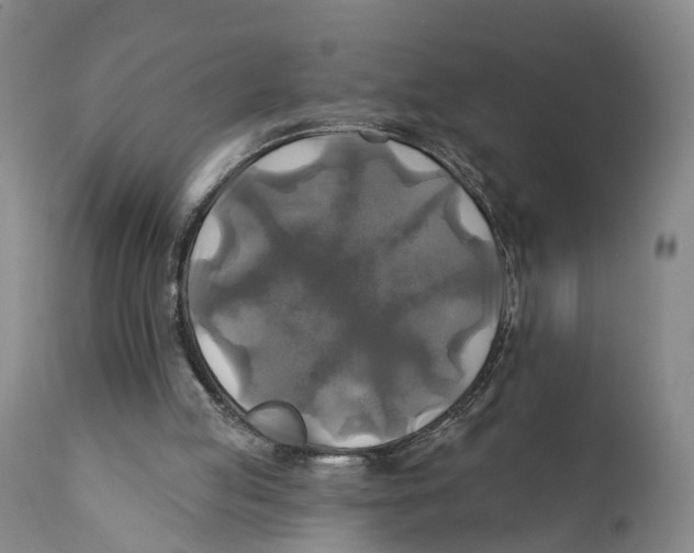 X0000111240053200907231539