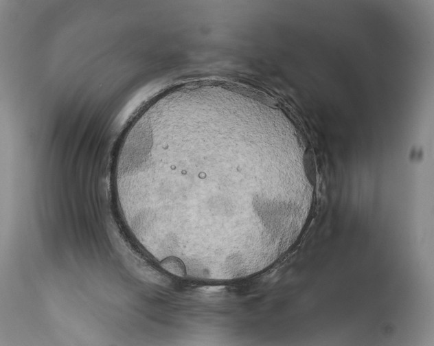 X0000111240054200907231539