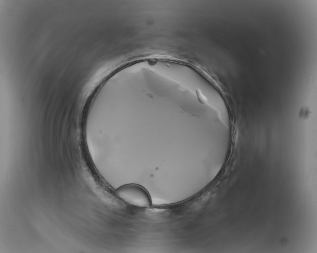 X0000111240055200907231539