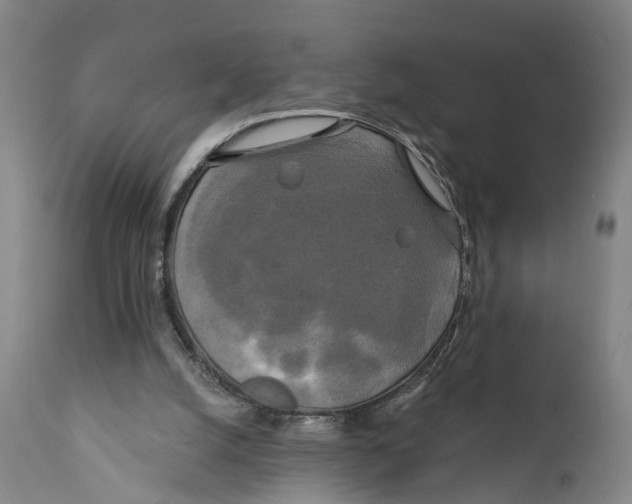 X0000111240056200907231539