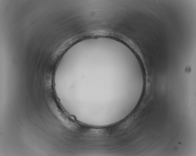 X0000111240057200907231539