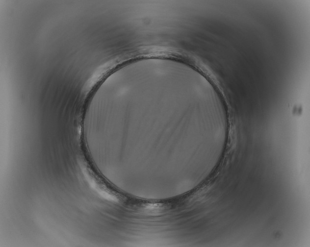 X0000111240059200907231539