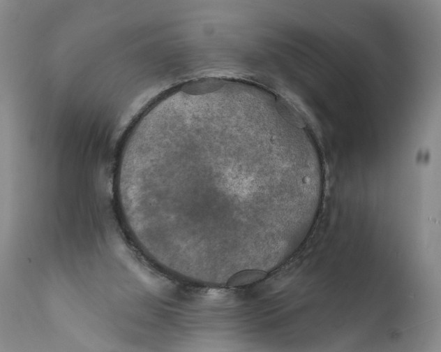 X0000111240060200907231539