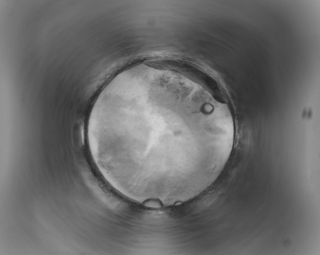 X0000111240061200907231539