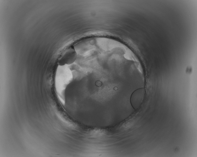 X0000111240063200907231539