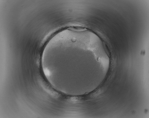 X0000111240064200907231539