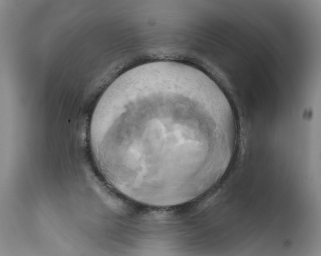 X0000111240065200907231539