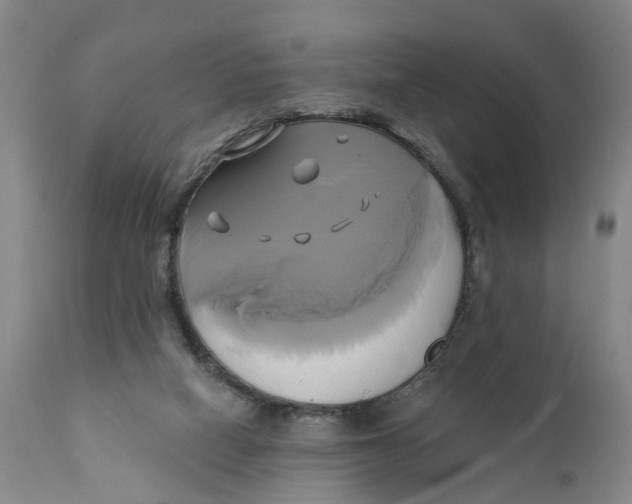 X0000111240066200907231539