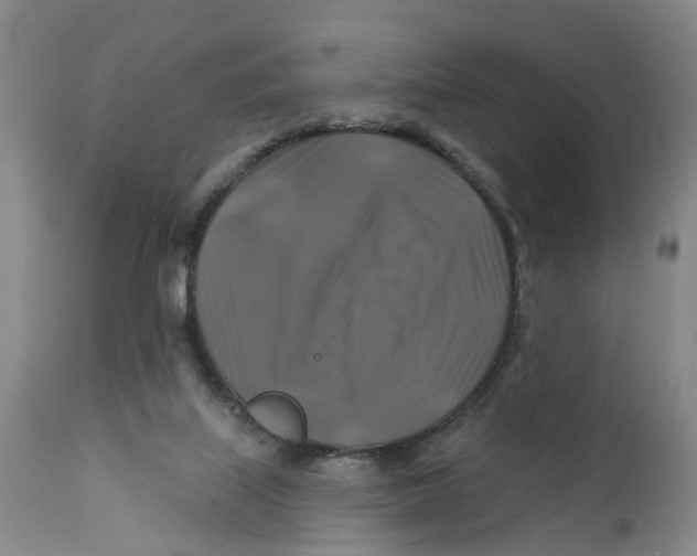 X0000111240067200907231539