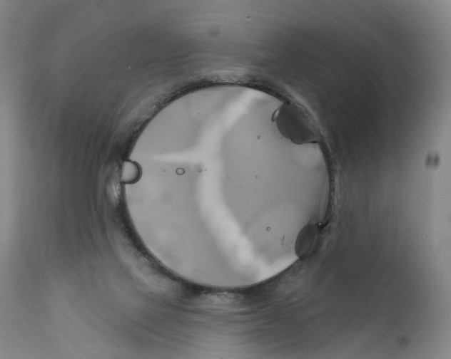 X0000111240069200907231539