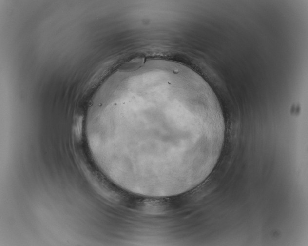 X0000111240070200907231539