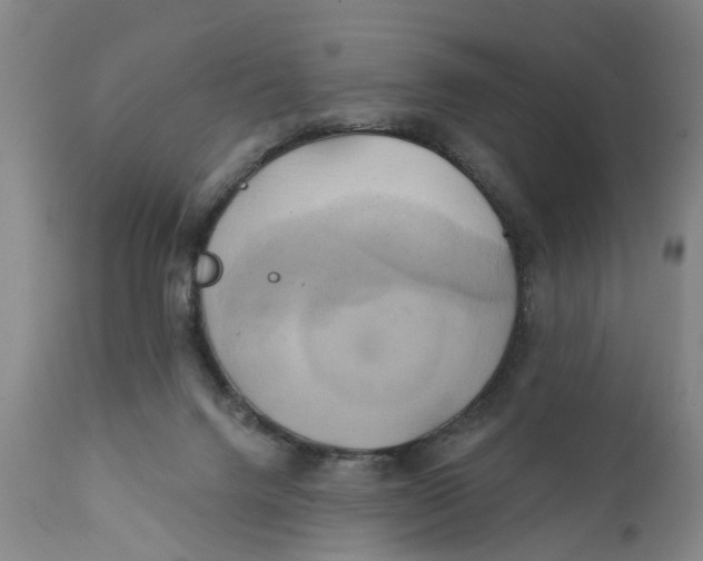 X0000111240072200907231539