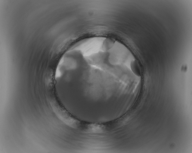 X0000111240073200907231539