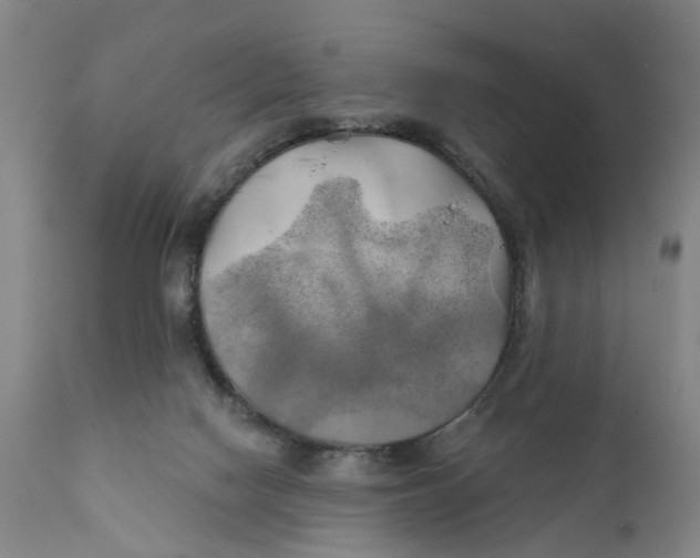 X0000111240074200907231539