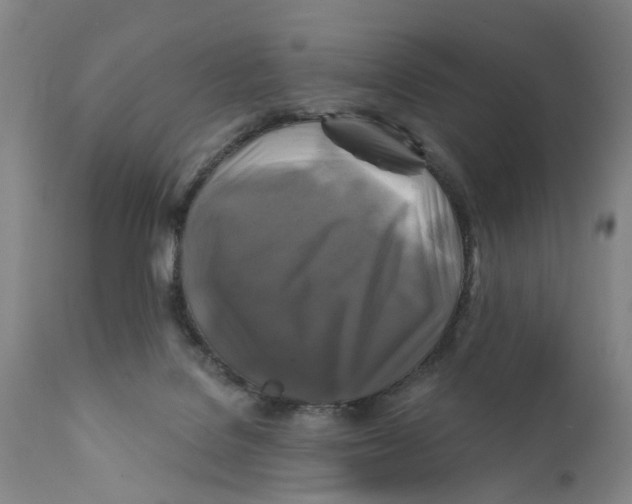 X0000111240076200907231539