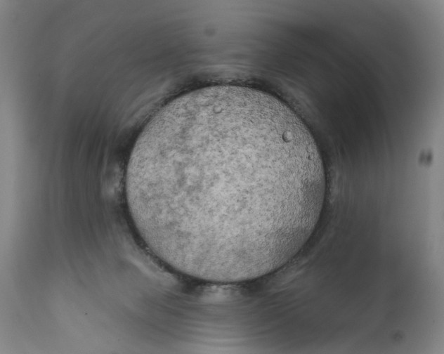 X0000111240077200907231539