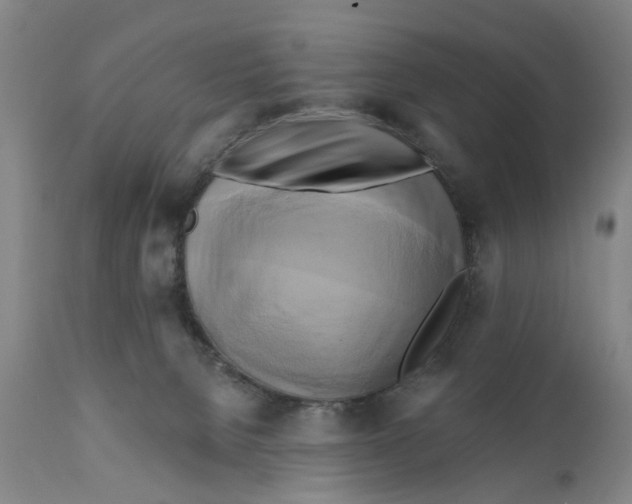 X0000111240080200907231539