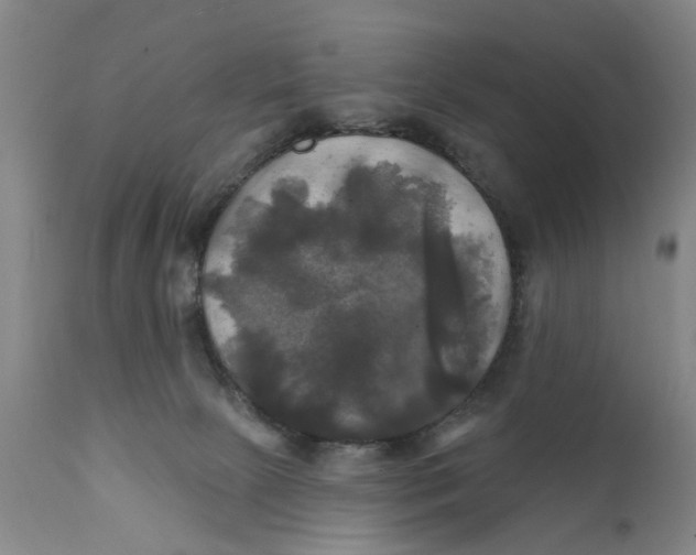 X0000111240081200907231539