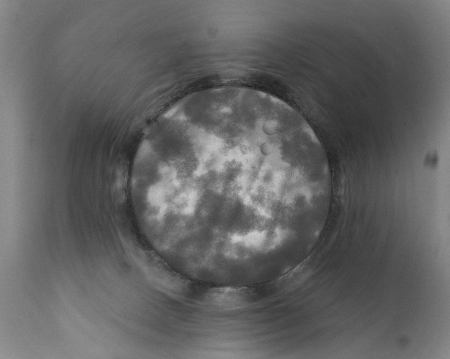 X0000111240082200907231539