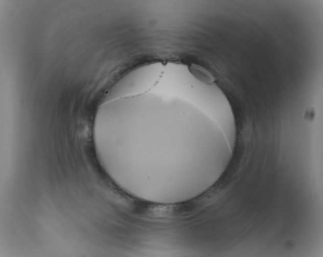 X0000111240084200907231539