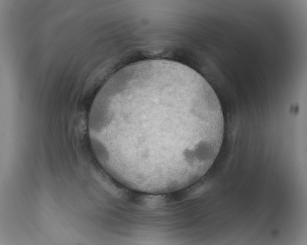 X0000111240085200907231539