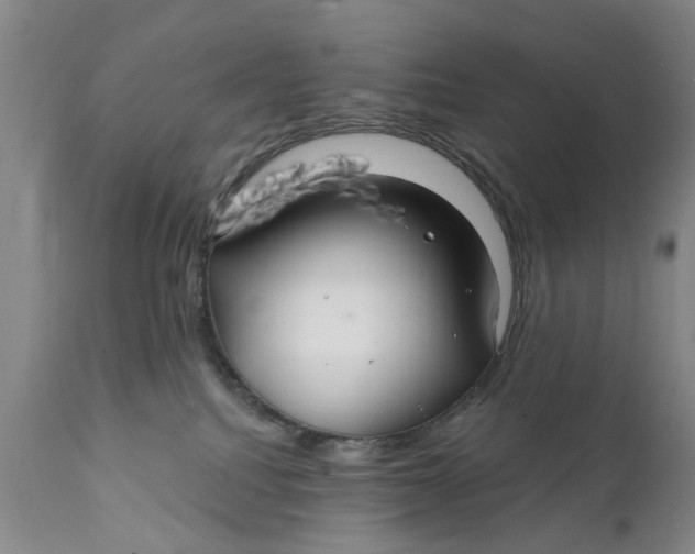 X0000111240088200907231539