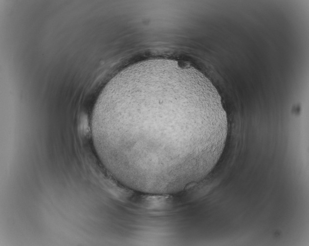 X0000111240089200907231539