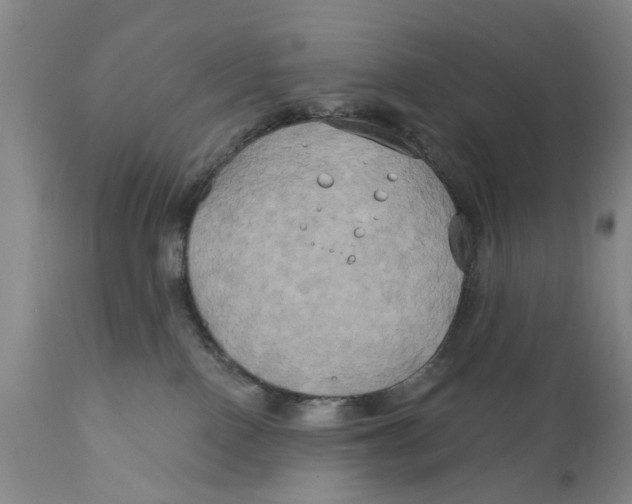 X0000111240090200907231539