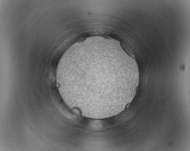 X0000111240091200907231539