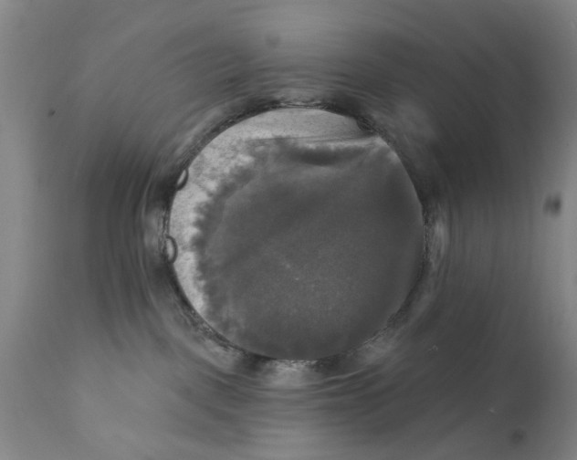 X0000111240093200907231539