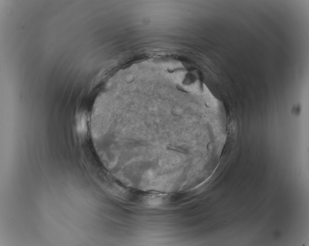 X0000111240094200907231539