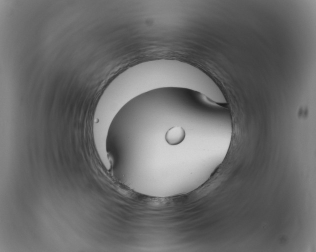 X0000111240096200907231539