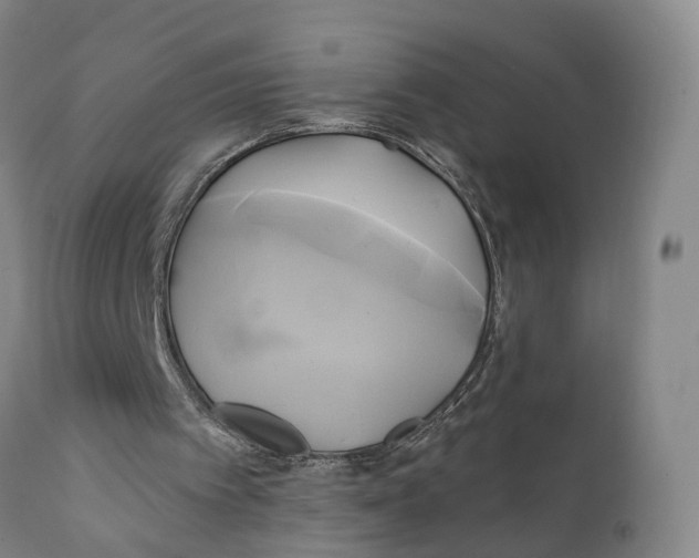 X0000111240097200907231539