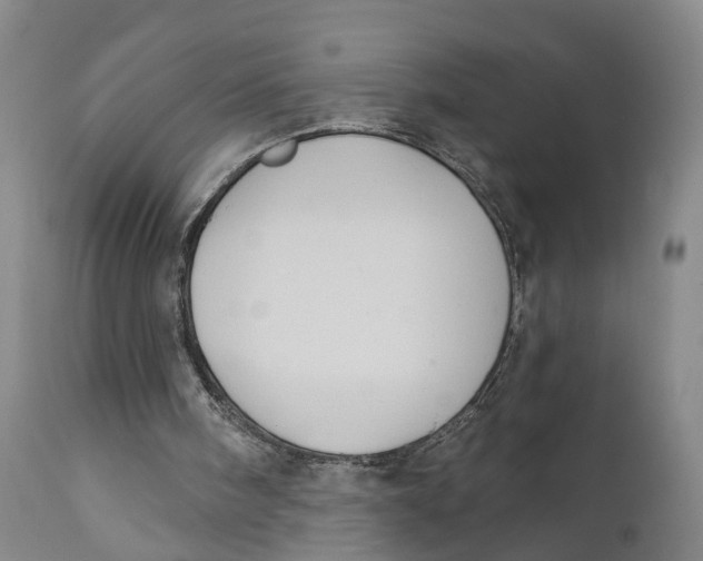 X0000111240098200907231539