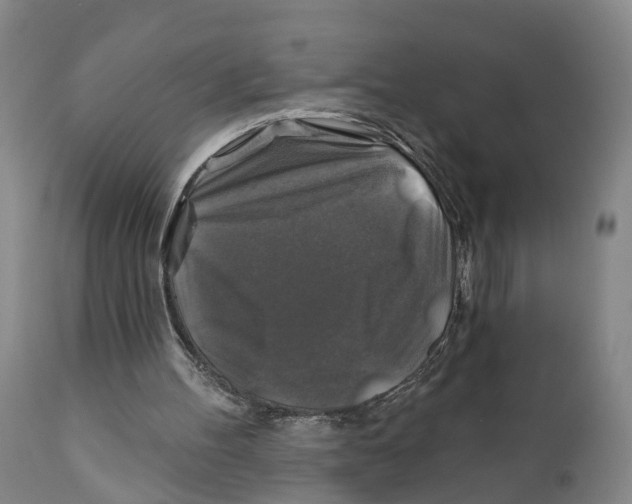 X0000111240100200907231539