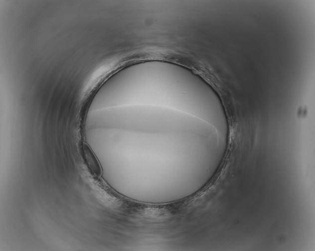 X0000111240101200907231539