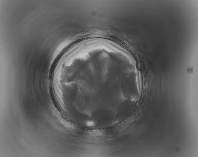 X0000111240102200907231538