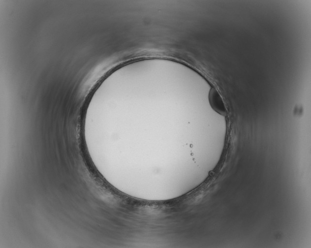 X0000111240103200907231538