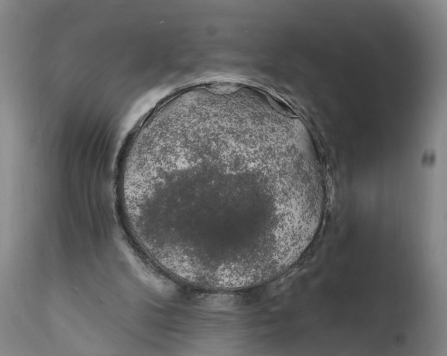 X0000111240104200907231538