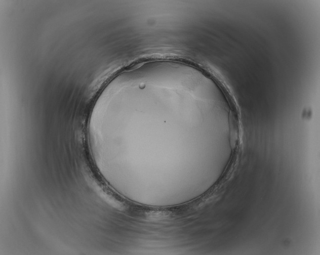 X0000111240105200907231538