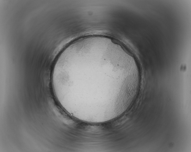 X0000111240107200907231538