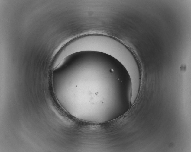 X0000111240108200907231538