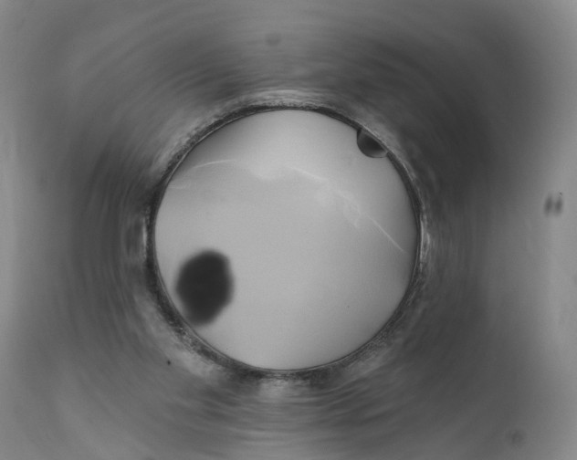 X0000111240109200907231538