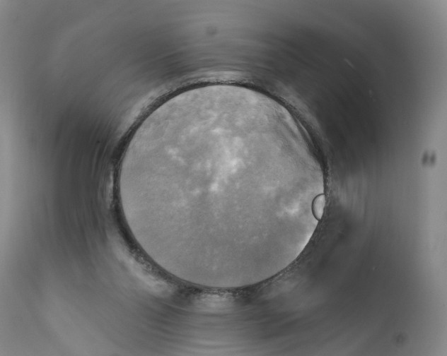 X0000111240110200907231538