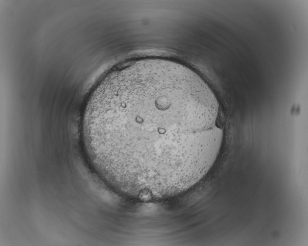 X0000111240111200907231538